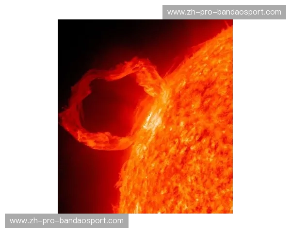 灼热烈阳下的紫色风暴：太阳vs国王，一场定义西区格局的巅峰博弈